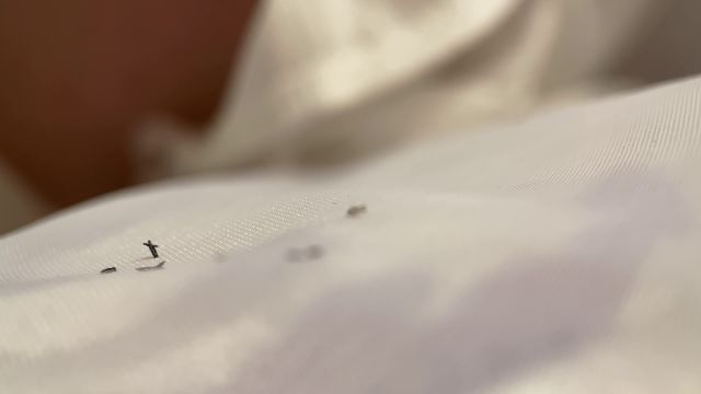 Shye White Giantess Tiny Stepbrother Custom Mov (Premium User Request) 00000 Shye White Giantess Tiny Stepbrother Custom Mov (Premium User Request) 00000