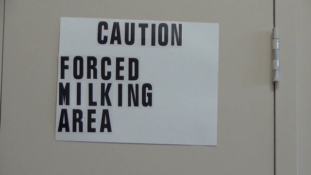 Bossy Girls - Milking Duo 00000
