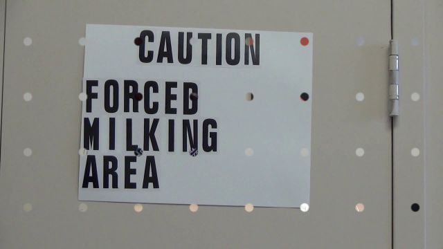 Bossy Girls - Teased To Eruption 00000